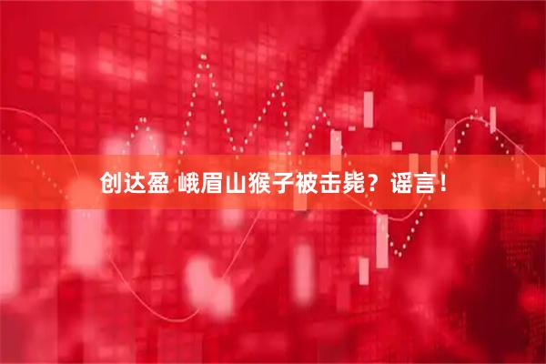 创达盈 峨眉山猴子被击毙？谣言！