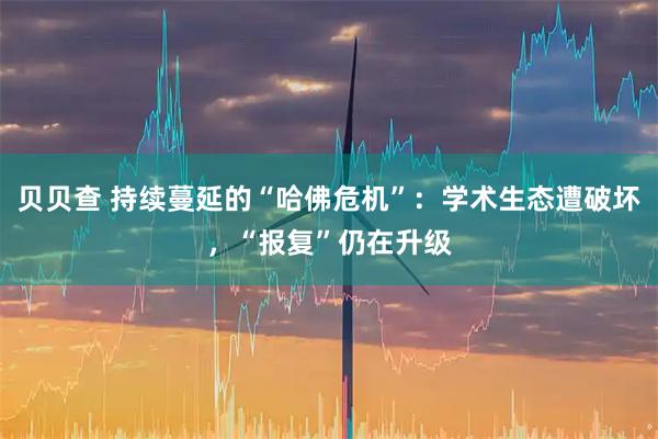 贝贝查 持续蔓延的“哈佛危机”：学术生态遭破坏，“报复”仍在升级