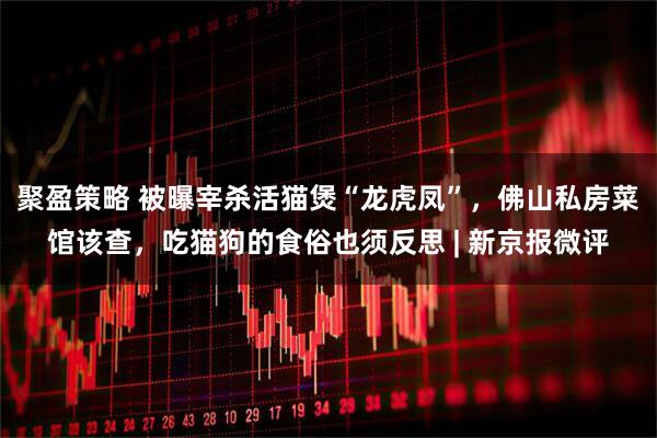 聚盈策略 被曝宰杀活猫煲“龙虎凤”，佛山私房菜馆该查，吃猫狗的食俗也须反思 | 新京报微评